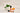 Mandarin Orange Essential Oil: A Scientific Perspective